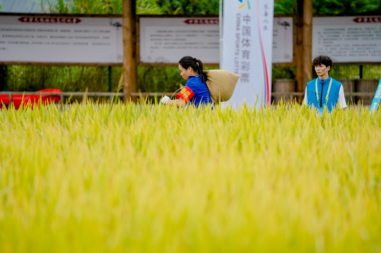 湖南NG娱乐管理有限公司